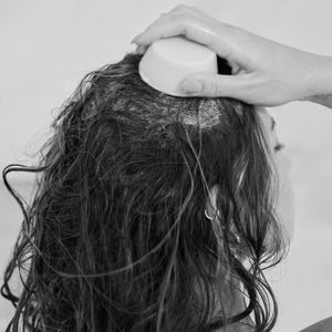 How Tallow Shampoo will benefit your hair, from dry to oily, to thin or textured..